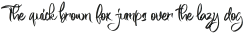 The Restight Script otf (400)