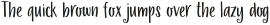 La Veronique Sans otf (400)