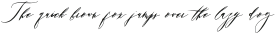AnantasyaRegular otf (400)