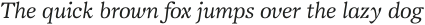 Vanio Regular Italic ttf (400)