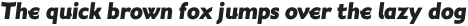 Wavelength Heavy Italic otf (800)