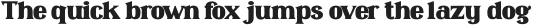 Omenica Bold Condensed otf (700)