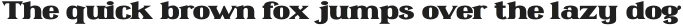 Omenica-Bold otf (700)