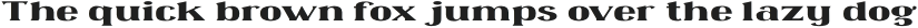 Omenica Light Extended otf (300)
