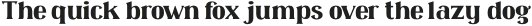 Omenica Light Condensed otf (300)