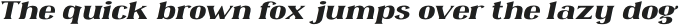 Omenica Light Italic otf (300)