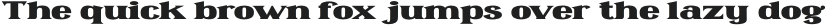 Omenica Bold Extended otf (700)