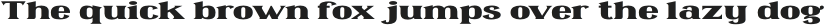 Omenica Medium Extended otf (500)