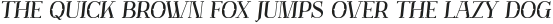 Muve-Italic otf (400)