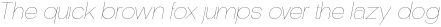 DeMonte Thin Italic otf (100)