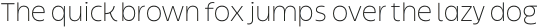 Willner Light otf (300)