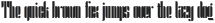 Ponti Light Stencil otf (300) Sample