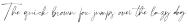 PlumroseSignature-Regular otf (400)