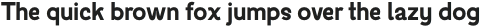 Trinkle Sans Black otf (900)