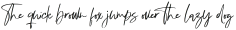 Dublishine Signature Regular otf (400)