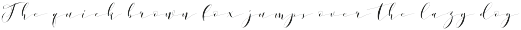 Donita Handscript preview