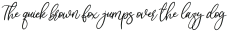 love heart Italic otf (400)