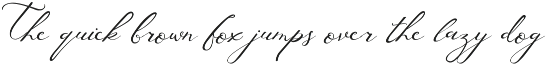 Best Beautiful Script Font Bundle preview