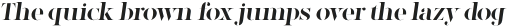 Factum Medium Stencil Oblique otf (500)