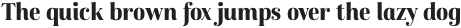 Karsten Bold Alt otf (700)