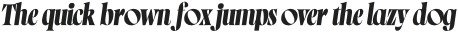 Norman Fat Italic2 otf (800)