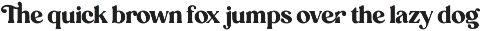 Carena - Ligature Serif Font font preview