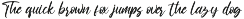 Ronttsein - Brush Script Font preview