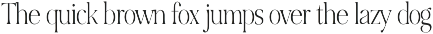 NOIR et BLANC Stylish Serif font preview