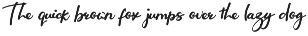 Paisley - Handwritten Font preview