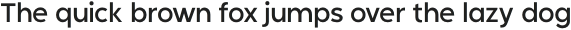 Mangrove Sans Light otf (300)