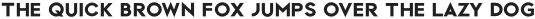 Vector Regular otf (700)