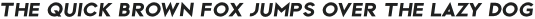 Vector Bold Italic otf (700)