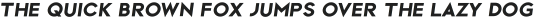 Vector Bold Italic ttf (700)