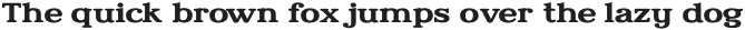 Relica Bold Extended otf (700)