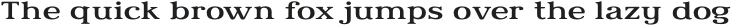 Relica Light Extended otf (300)