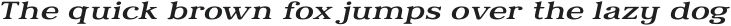 Relica Light Extended Italic otf (300)