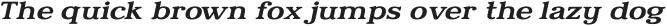 Relica Medium Extended Italic otf (500)