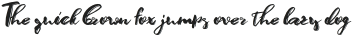 Joyousl Regular otf (400)