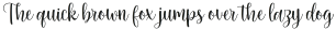 MichelElishaScript otf (400)