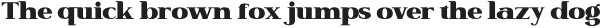 Magelo-Bold otf (700)