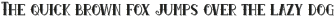 Urban Ink Shadow otf (400)