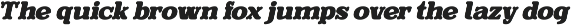 Evereast Serif Rounded preview