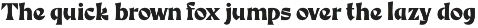Something New A Serif Blackletter font preview