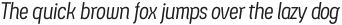 Ledare Light Italic otf (300)
