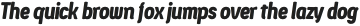 Ledare ExtraBold Italic otf (700)