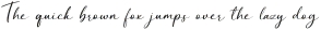 Backlight Regular otf (300)