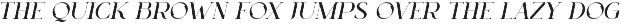 Oakleaf - Elegant & Unique Serif preview