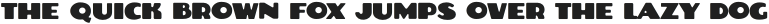 YRT Apricot Sans Regular otf (400)