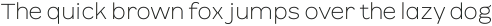 Rambi Thin ttf (100)