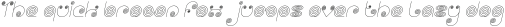 Self Region Italic otf (400)